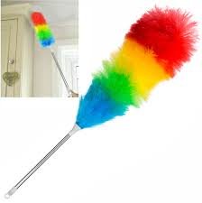 Feather Duster