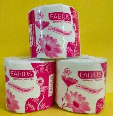 Toilet Rolls (250 Pullls)